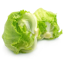 Wholesale BoxNCase Case Baby Iceberg Lettuce- Bulk