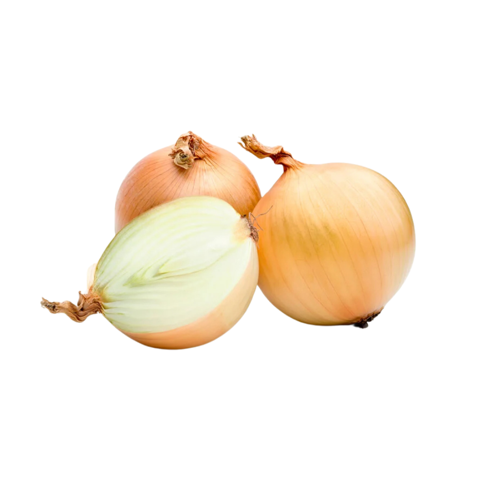 Wholesale Aceendico Each Spanish Onion- Bulk