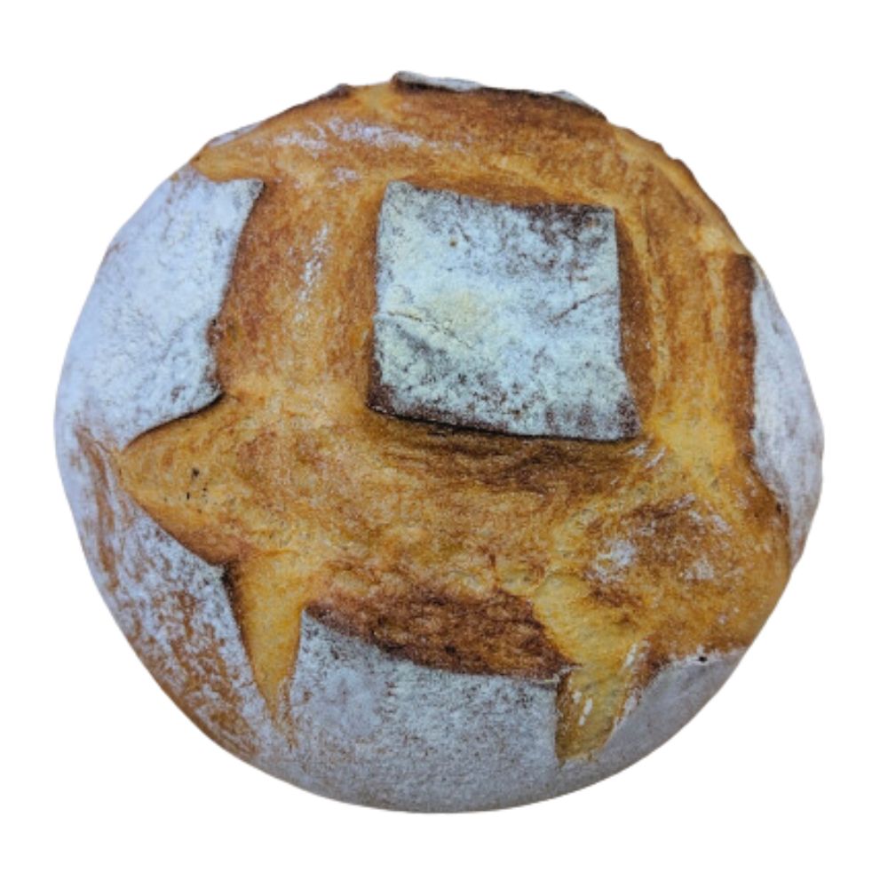 Wholesale Melone Bros Case 8X8 Brick Oven Round Bread- Bulk
