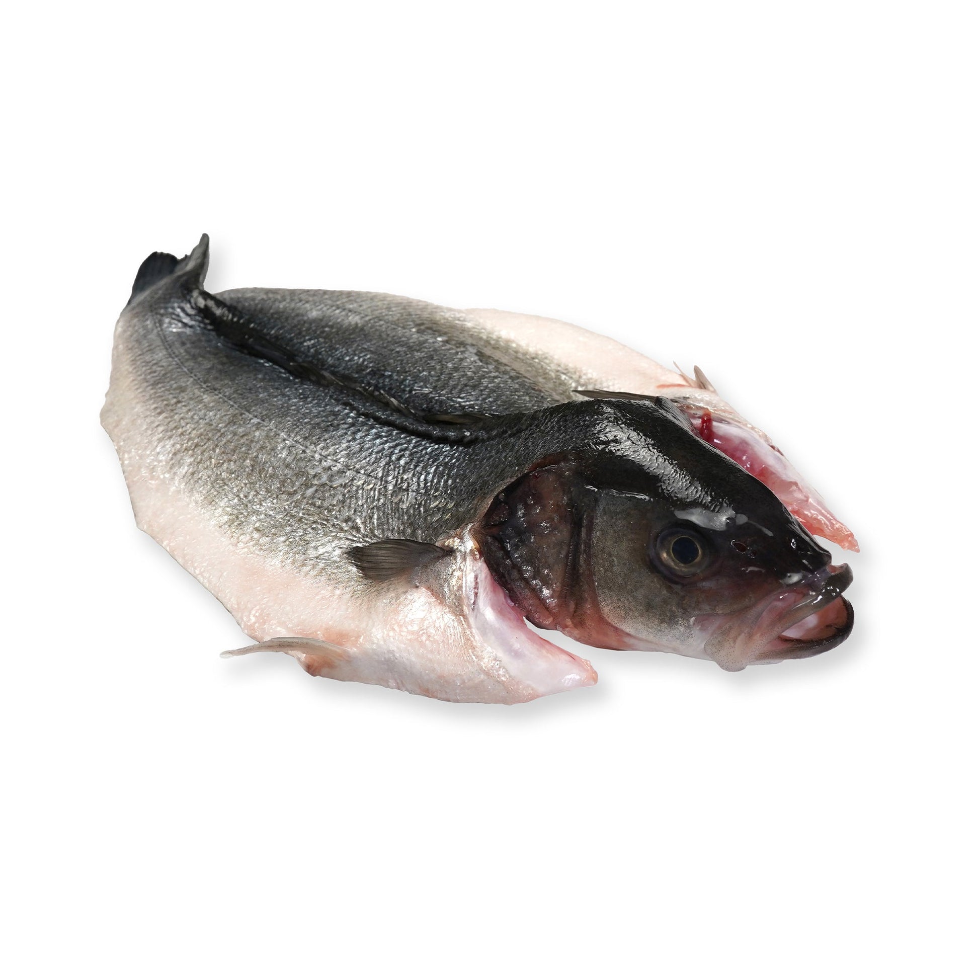 Wholesale Kilic Branzino Butterfly Head-on, 400-600 G 5lb- Bulk