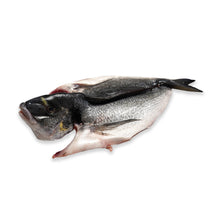 Wholesale Kilic Dorade Butterfly Head-on 600-800 G 5lb- Bulk