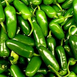 Wholesale Produce Exp Each Jalapeno Peppers- Bulk