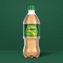 Wholesale Seagram'S Gingerale Soda | 20 oz- Bulk
