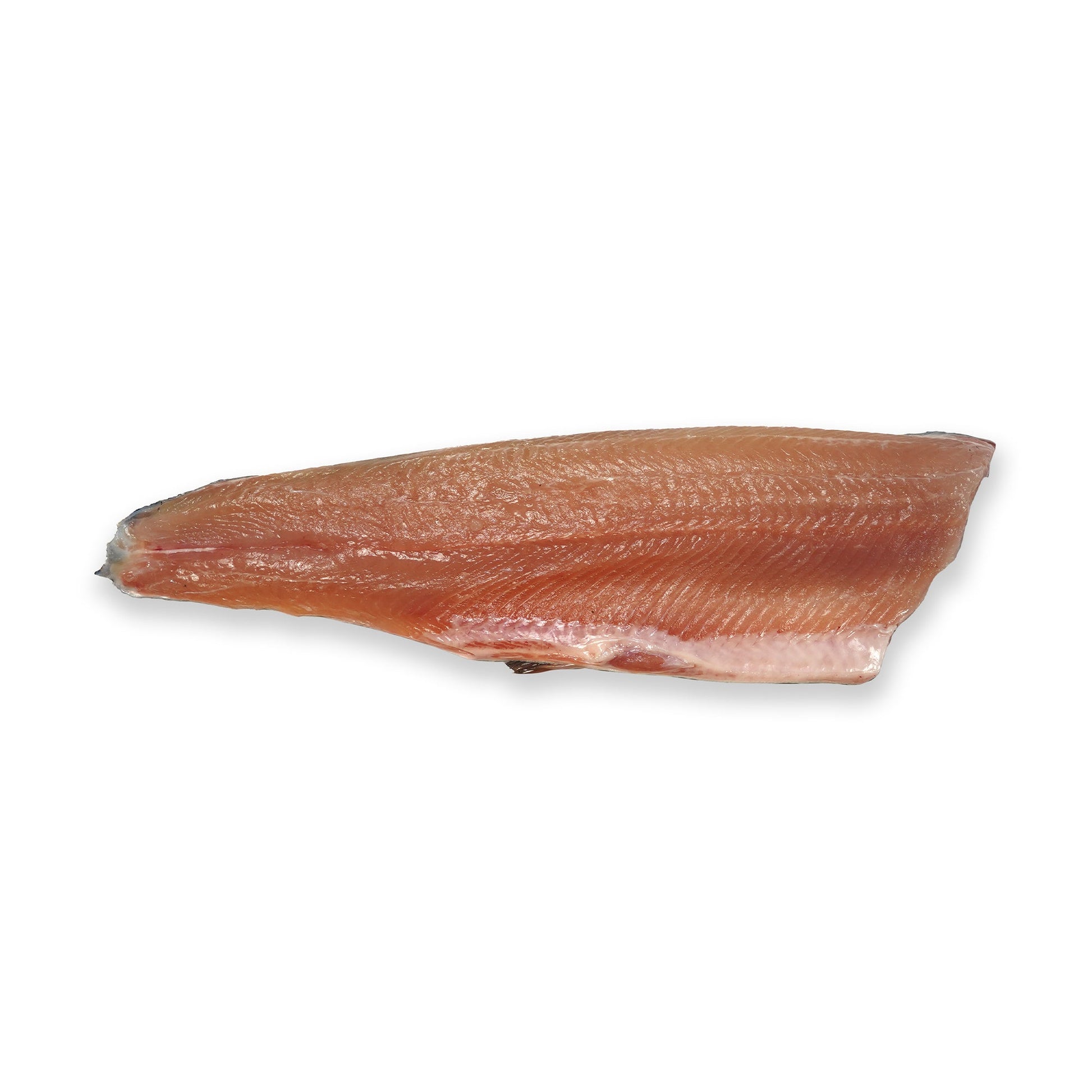 Wholesale Loch Etive Stealhead Ocean Trout Fillet Skin-Off, 2.5 Lb 10lb- Bulk