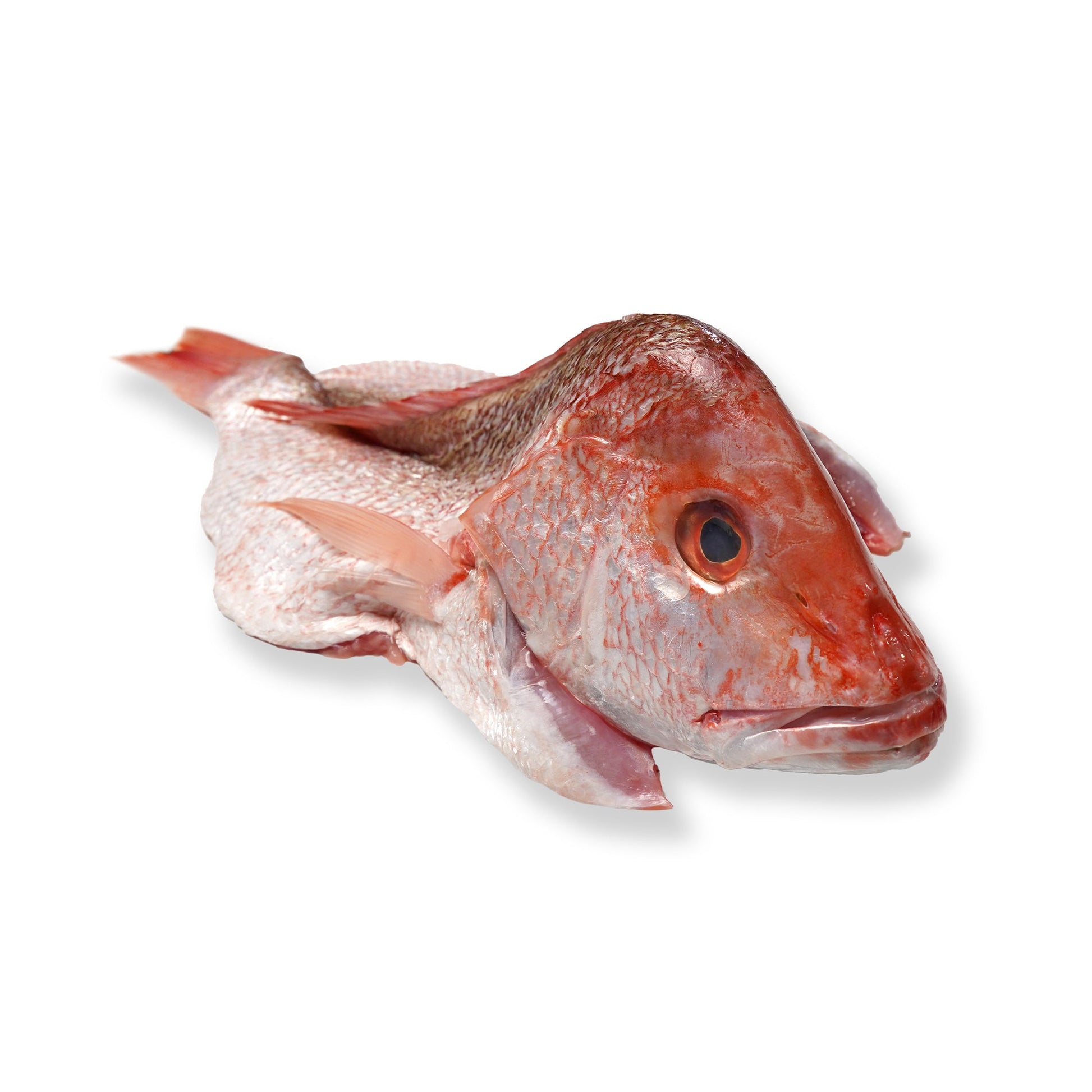 Wholesale Dix Farms American Red Snapper Fillet Skin-on, 2 Lb 5lb- Bulk