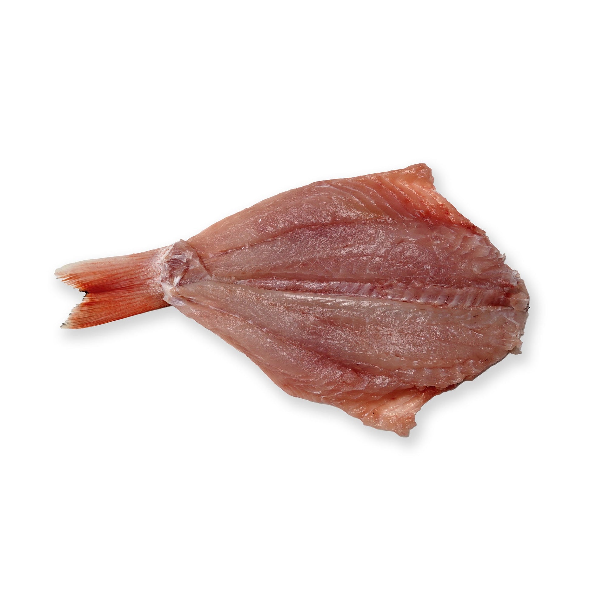 Wholesale Dix Farms American Red Snapper Butterfly 3 Lb 10lb- Bulk