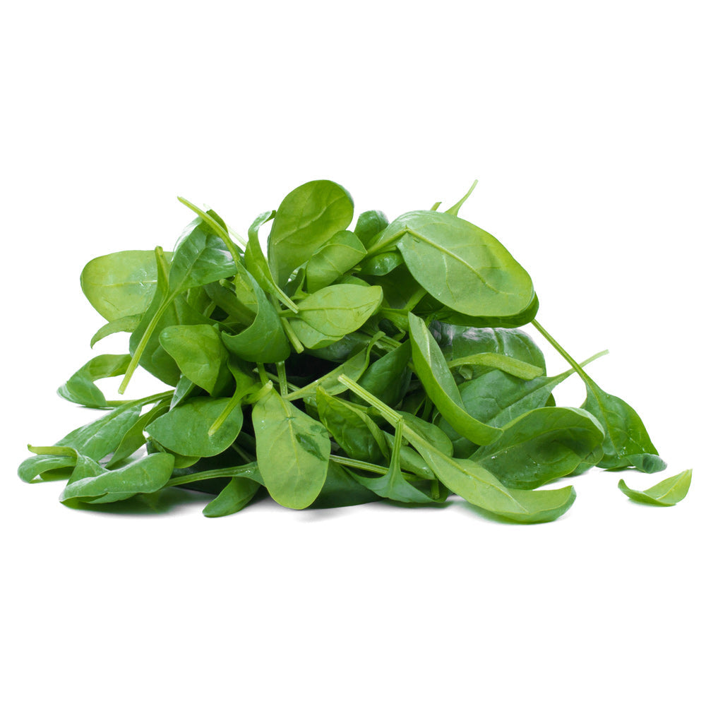 Wholesale Organic Girl Baby Spinach | 5 oz- Bulk