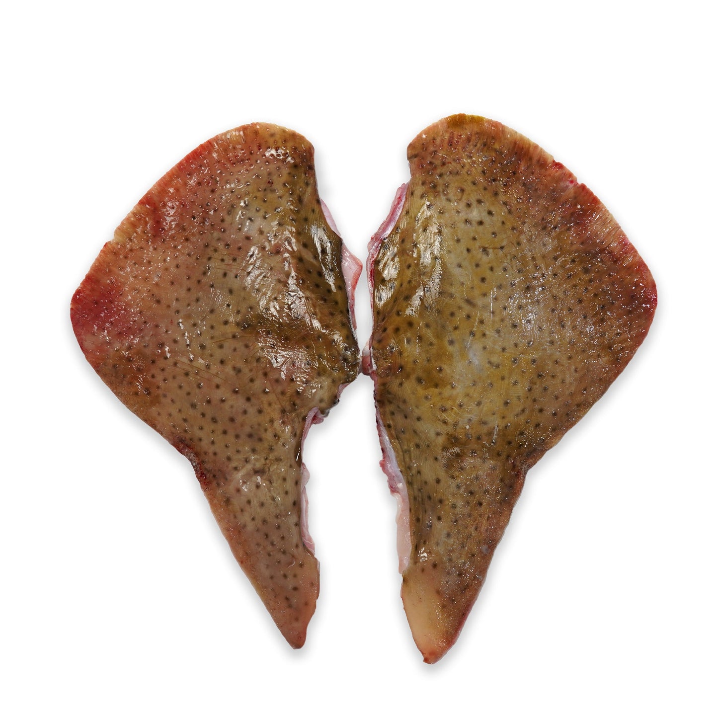 Wholesale Dix Farms Skate Wing Whole as-Is 5lb- Bulk