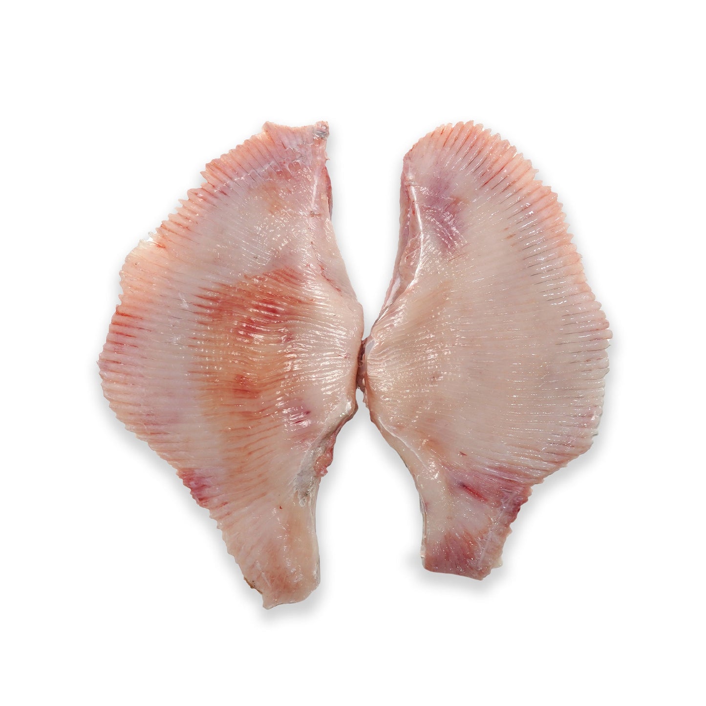 Wholesale Dix Farms Skate Wing Whole Skin-Off 5lb- Bulk