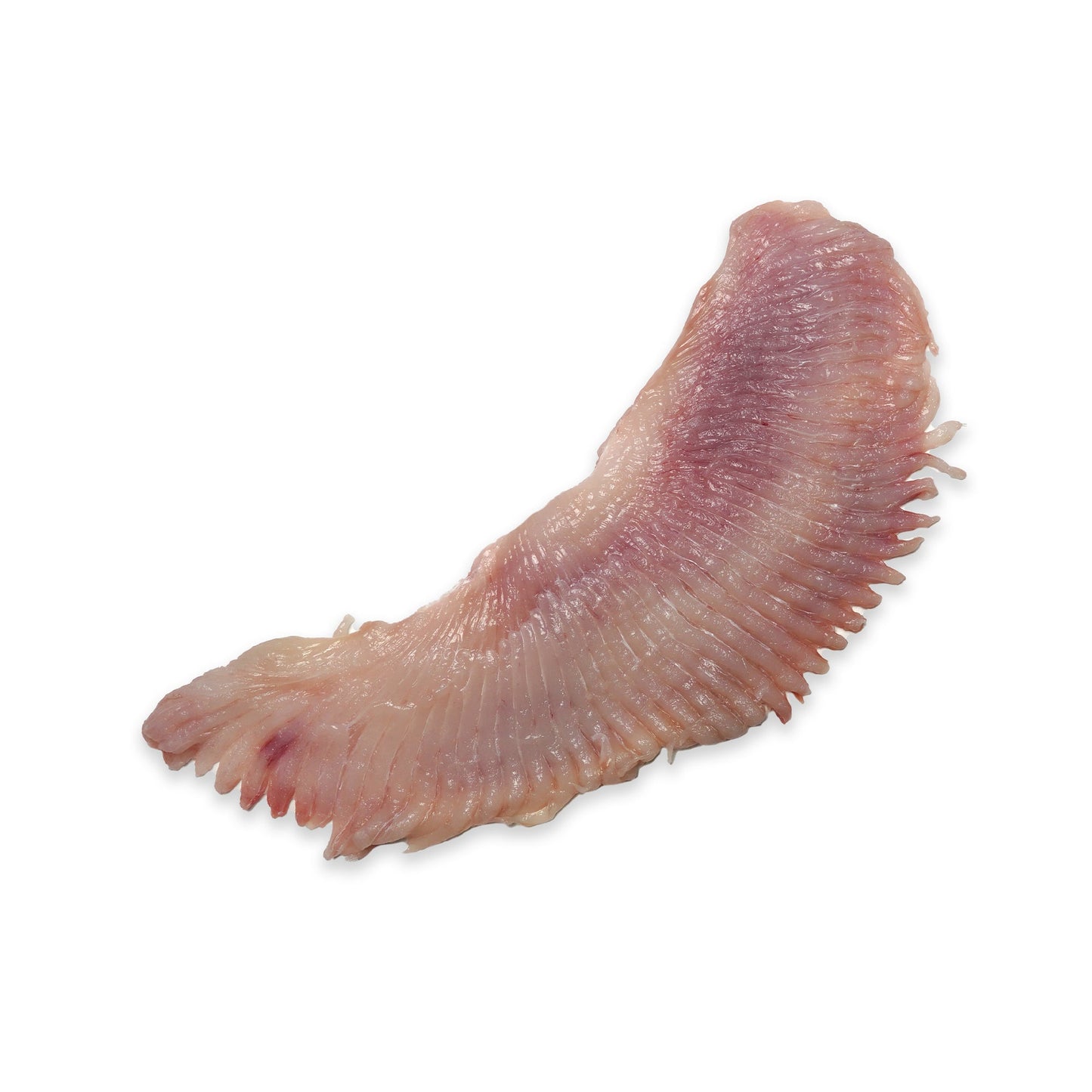 Wholesale Dix Farms Skate Wing Fillet Skin-Off 5lb- Bulk