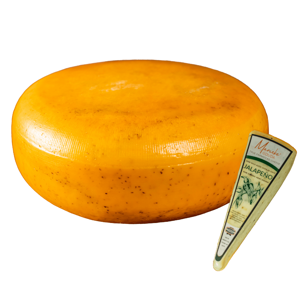 Wholesale Marieke Gouda Jalepno 20#- Bulk
