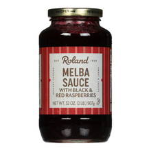 Wholesale Saveurs Each Melba Sauce- Bulk