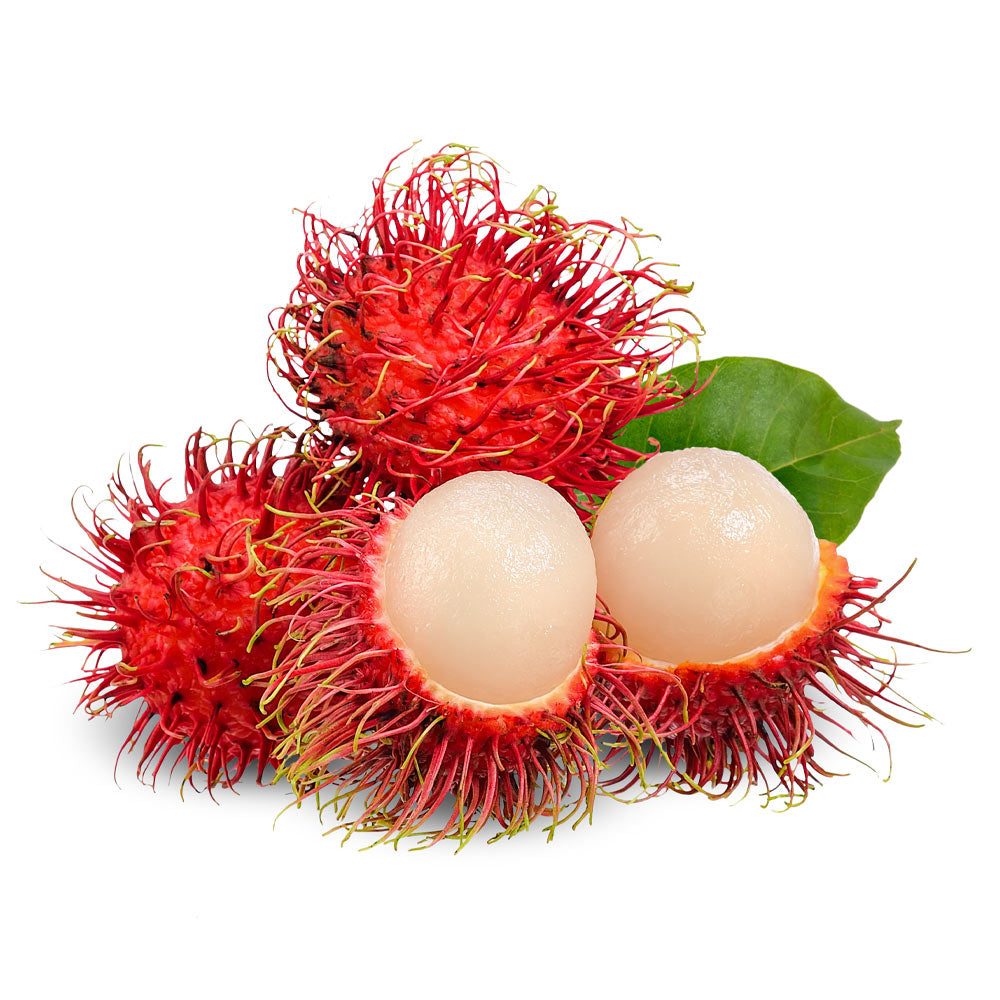 Wholesale BoxNCase Case Rambutan- Bulk