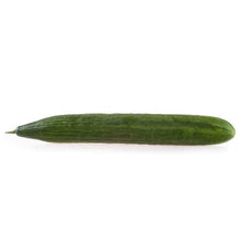 Wholesale Topline Case Hot House Seedless Cucumber- Bulk