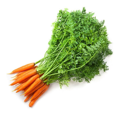 Wholesale BoxNCase Case Baby Bunch Rainbow Carrots- Bulk