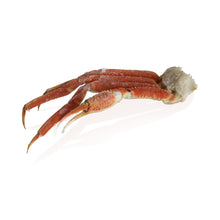 Wholesale Snow Crab Clusters | 11 lb- Bulk
