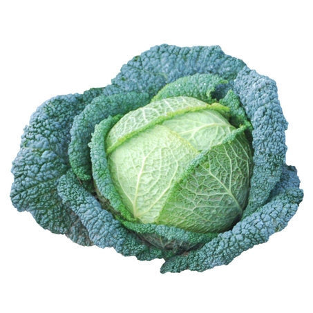 Wholesale BoxNCase Case Savoy Cabbage- Bulk