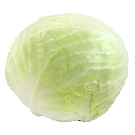 Wholesale BoxNCase Case White Cabbage- Bulk