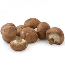 Wholesale Phillips Baby Bella Mushroom | 8 oz- Bulk