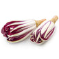 Wholesale Dix Farms Fresh Radicchio Tardivo- Bulk