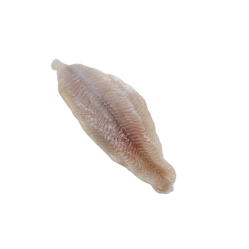 Wholesale BoxNCase Case 7-9Oz Iqf Catfish Fillet- Bulk