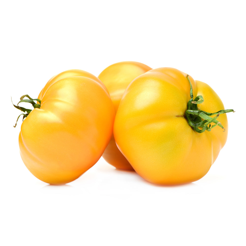 Wholesale Yellow Tomato On The Vine | 10 lb- Bulk