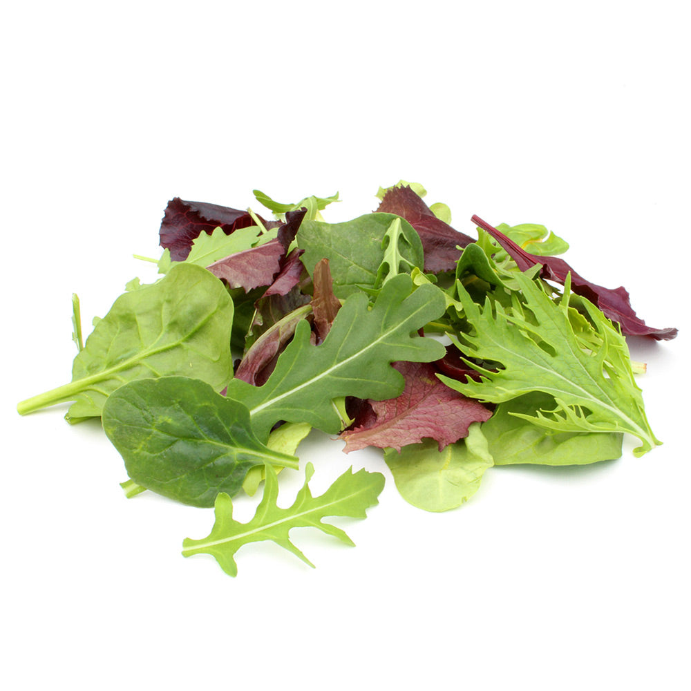 Wholesale Earthbound Case Mesclun- Bulk