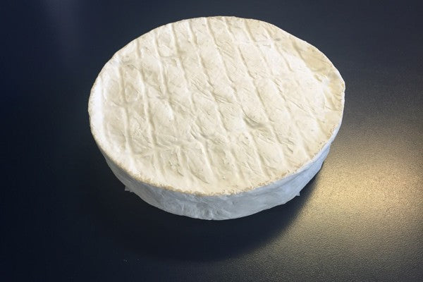 Wholesale Nicasio Locarno 2.75#- Bulk