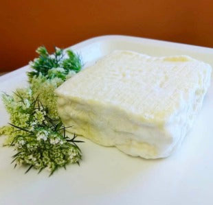 Wholesale Tulip Tree Queen Annes Lace 6Oz- Bulk