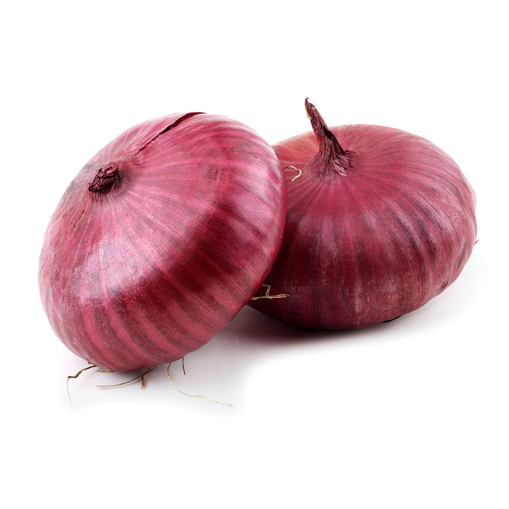 Wholesale Cipollini Red Onions | 10 lb- Bulk