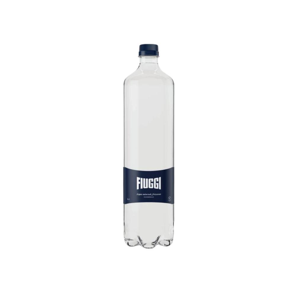 Wholesale Fiuggi Case Sparkling Spring Water- Bulk