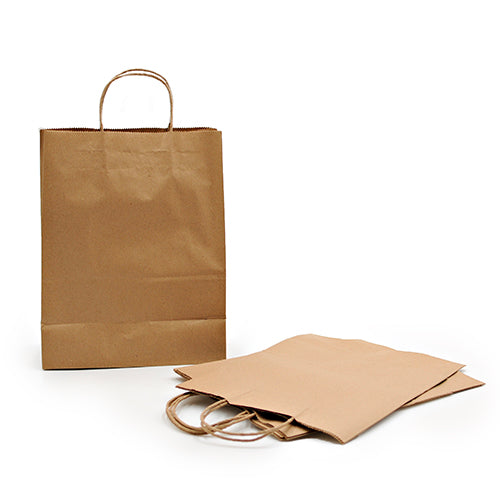 Wholesale Flexo Converters USA 10x5x13 Paper Kraft Bags Debbie- Bulk
