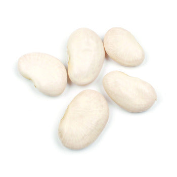 Wholesale D'Allesandro Peruvian Lima Beans 10lb- Bulk