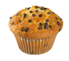 Wholesale Harvest Bakery Case Chocolate Chip Yogurt Muffin- Bulk
