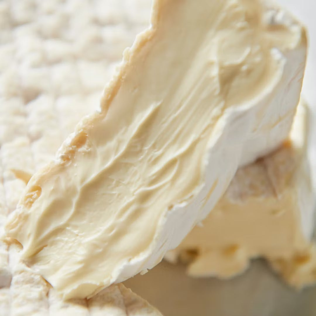 Wholesale Will Studd Dauphin Dbl Creme 200G- Bulk