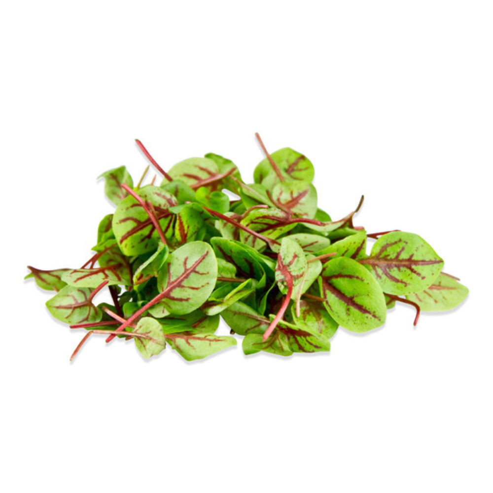 Wholesale Koppert Cress Case Micro Hearts On Fire- Bulk