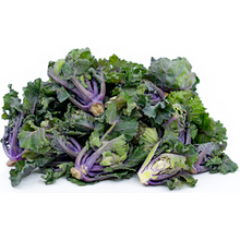 Wholesale Kale Sprouts | 4 lb- Bulk