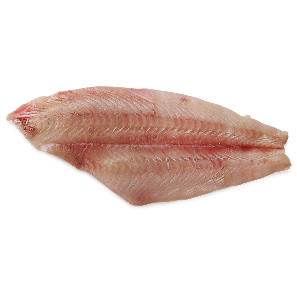 Wholesale Wild Usa Case Fluke Fillet With Skin Off- Bulk