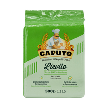 Wholesale Caputo Case 100% Italian Dry Yeast- Bulk