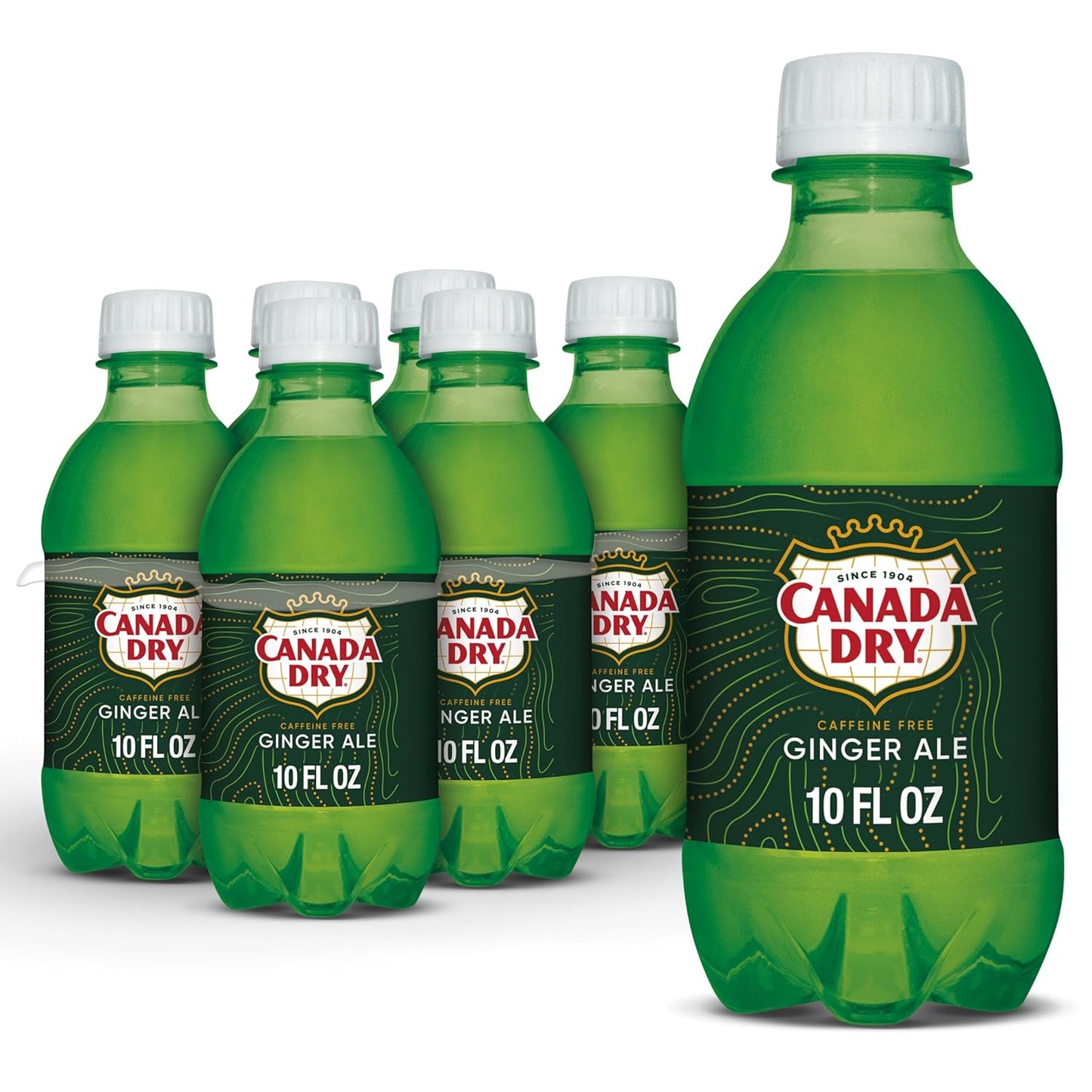 Wholesale Canada Dry Ginger Ale | 10 oz- Bulk
