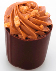 Wholesale Nougatine Dark Chocolate Gianduja Cream 2.2 LB- Bulk