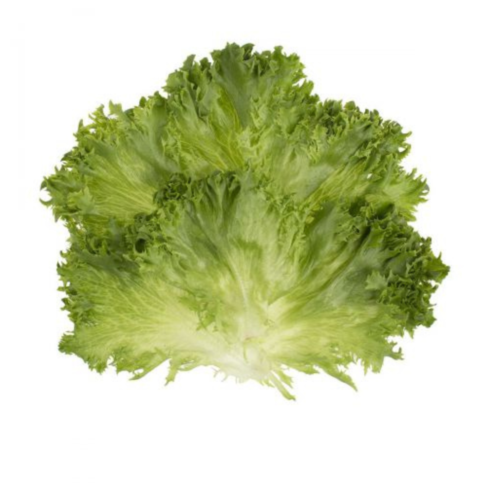 Wholesale Taylor Farms Case Better Burger Leaf Lettuce- Bulk