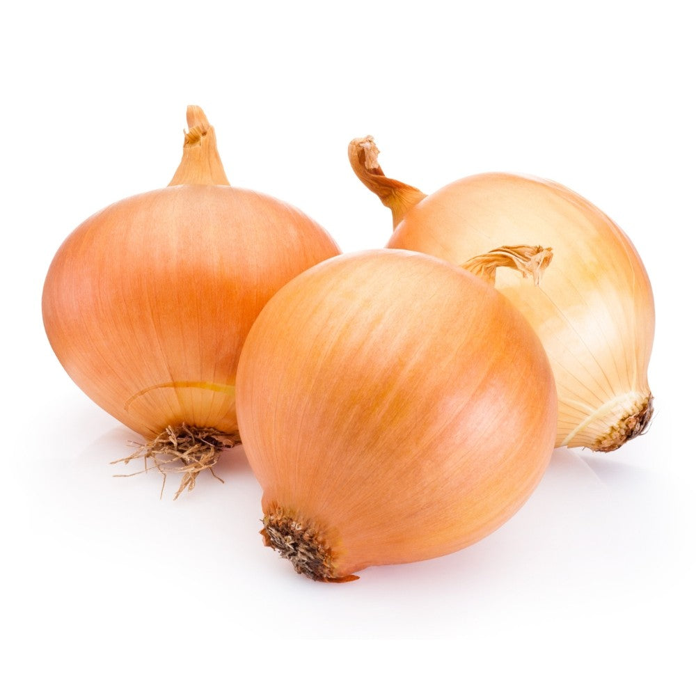 Wholesale Yellow Onions- Bulk