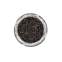 Wholesale Sasanian Caviar Key- Bulk