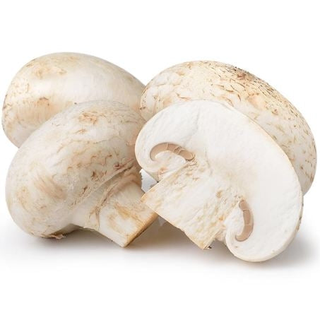 Wholesale Phillips Case White Button Mushroom- Bulk
