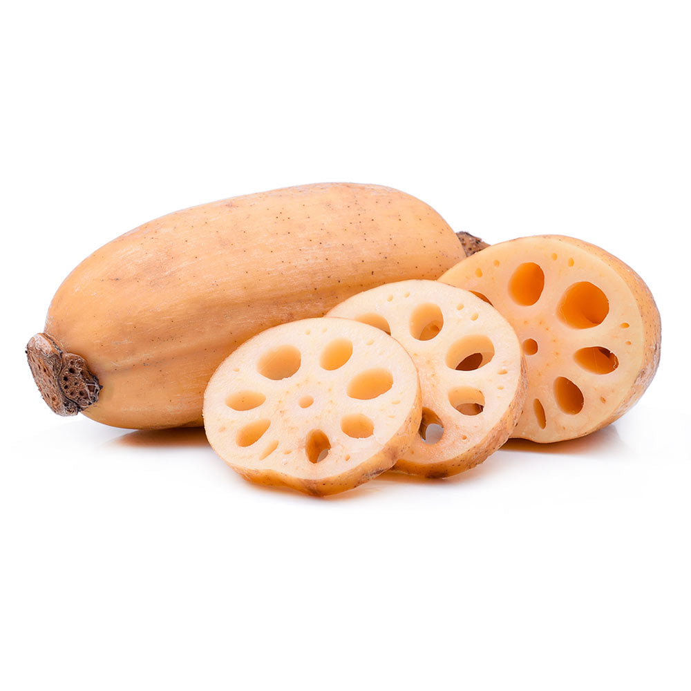 Wholesale Lotus Root | 10 lb- Bulk
