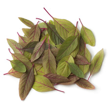 Wholesale Amaranth Cress | 16 cup bo- Bulk