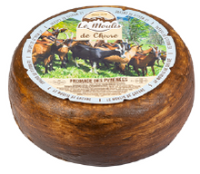 Wholesale Le Moulis Goats Tomme- Bulk