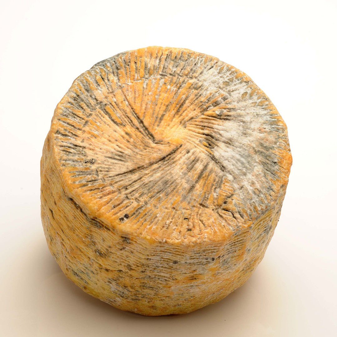 Wholesale Pecorino Allo Zafferano 4.3K- Bulk