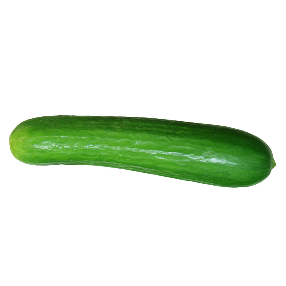 Wholesale BoxNCase Each Persian Cucumber- Bulk